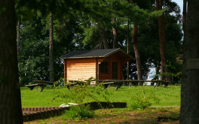 Wooden cabin in a forest park