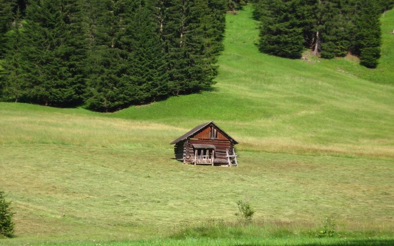 Wooden cabin in a green meadow