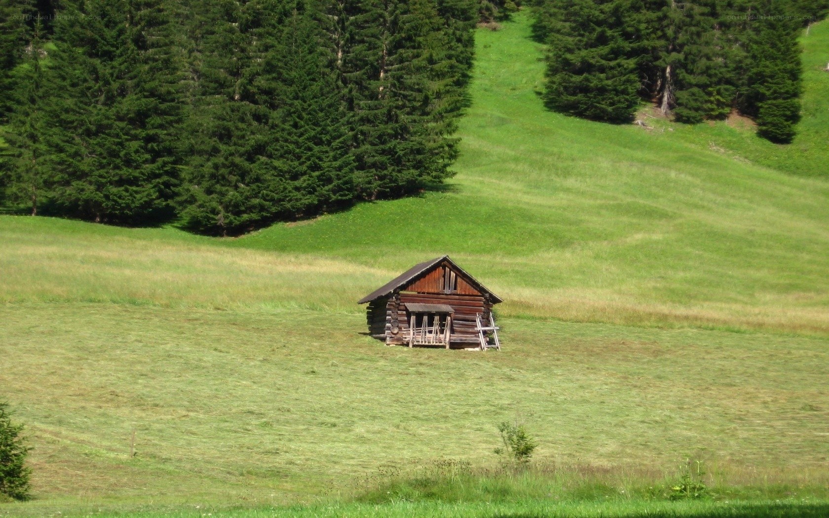 Wooden cabin in a green meadow