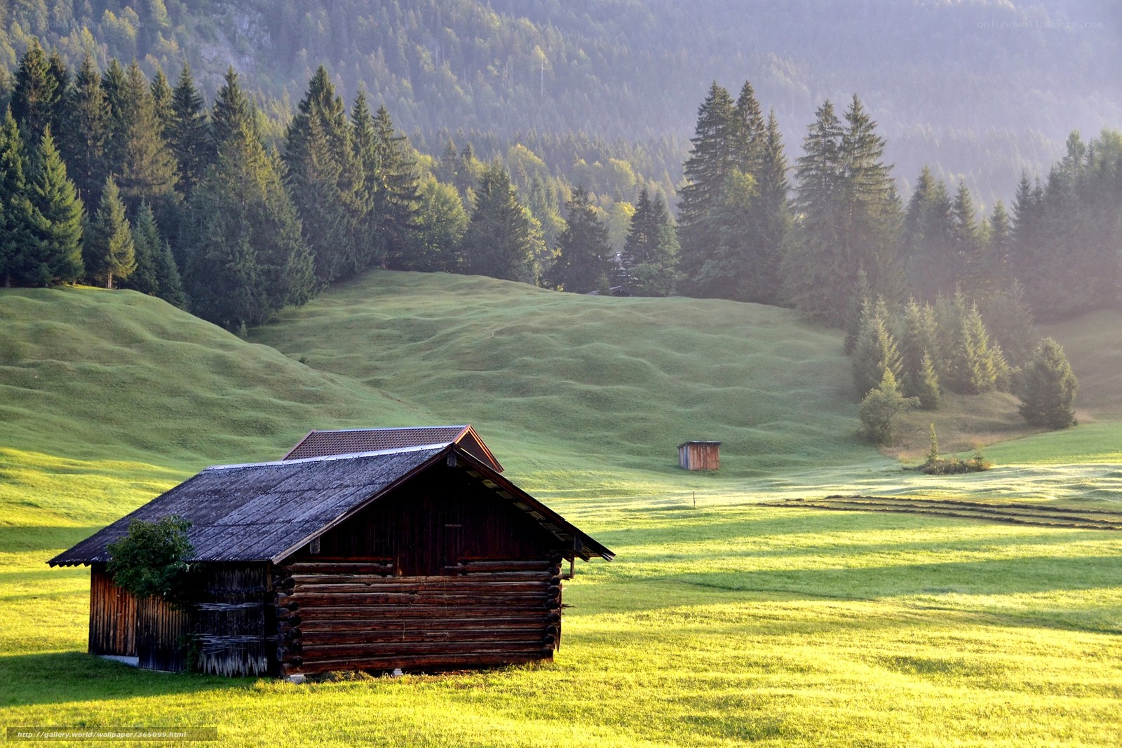 Wooden cabin in a green valley
