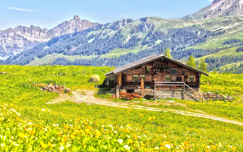 Wooden Cabin in Alpine Meadow