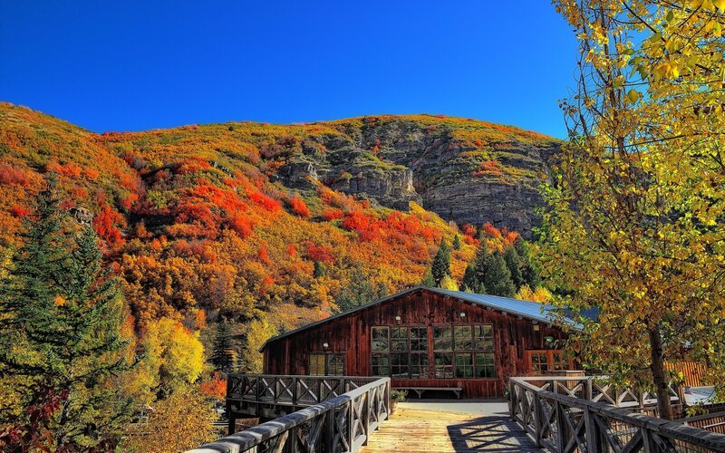 Wooden Cabin in Autumn — Blue, Serene, Photograph