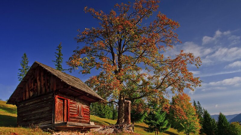 Wooden Cabin in Autumn — Blue, Serene
