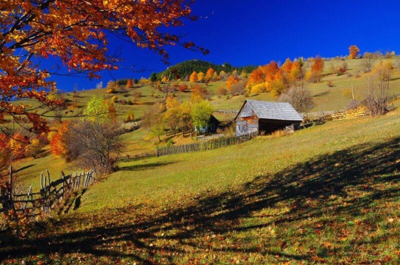 Wooden Cabin in Autumn — Blue