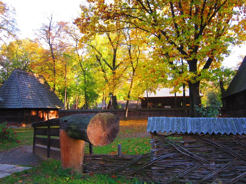 Wooden Cabin in Autumn — Green, Serene, Photograph