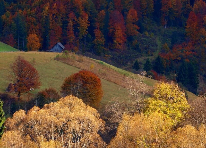 Wooden Cabin in Autumn Hills