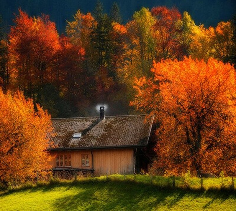 Wooden Cabin in Autumn — Orange