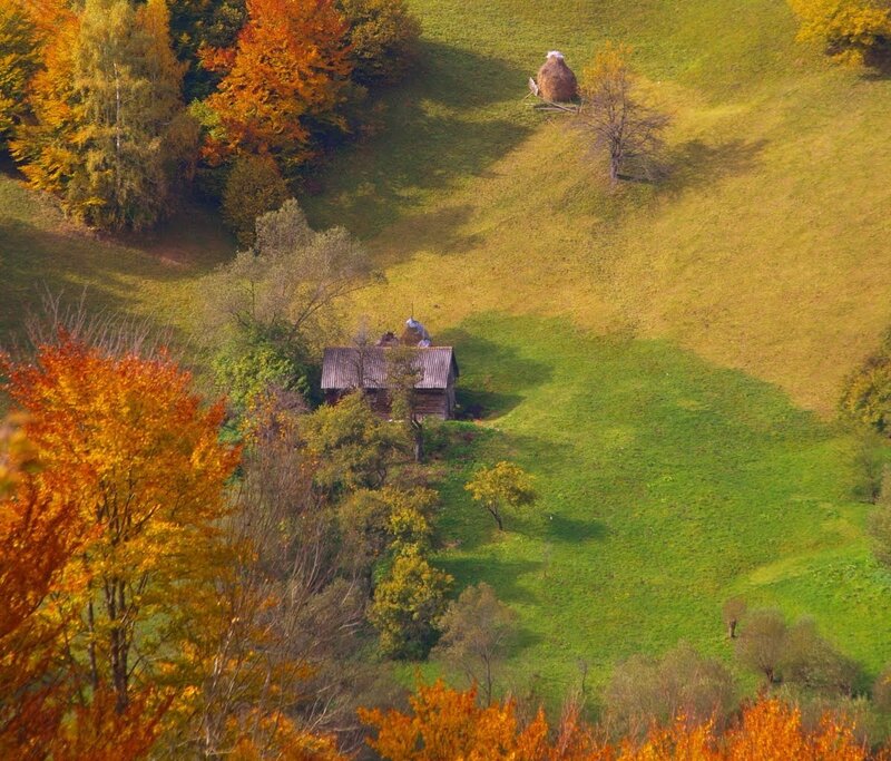 Wooden Cabin in Autumn