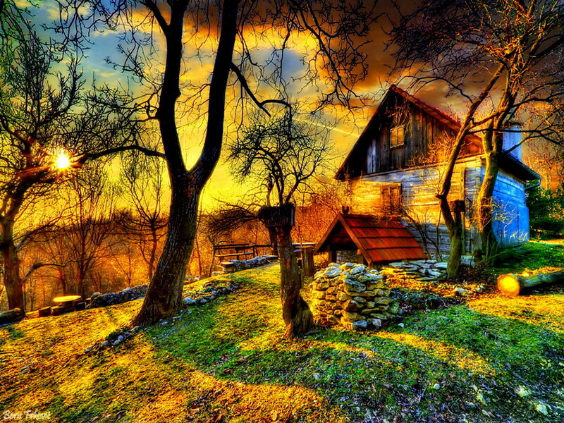 Wooden Cabin in Autumn — Yellow, Dramatic