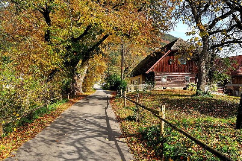 Wooden Cabin in Autumn — Yellow