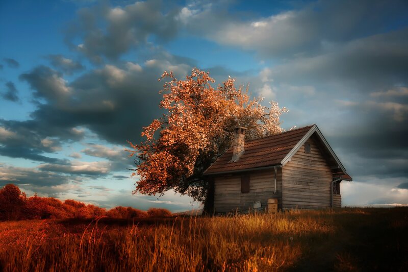 Wooden Cabin in Field — Blue, Dramatic, Sunset