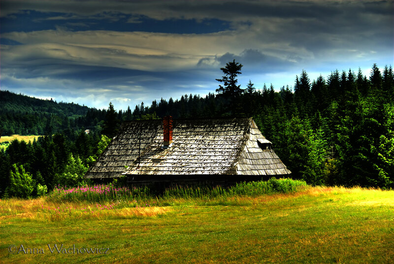 Wooden Cabin in Field — Green, Dramatic