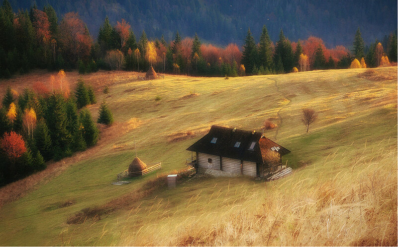 Wooden Cabin in Field — Green, Serene, Autumn