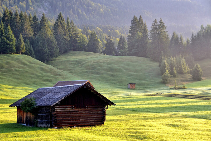 Wooden Cabin in Field — Green, Serene, Morning