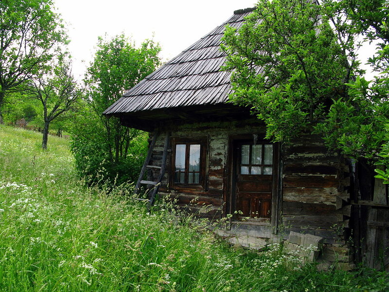 Wooden Cabin in Field — Green, Serene, Spring