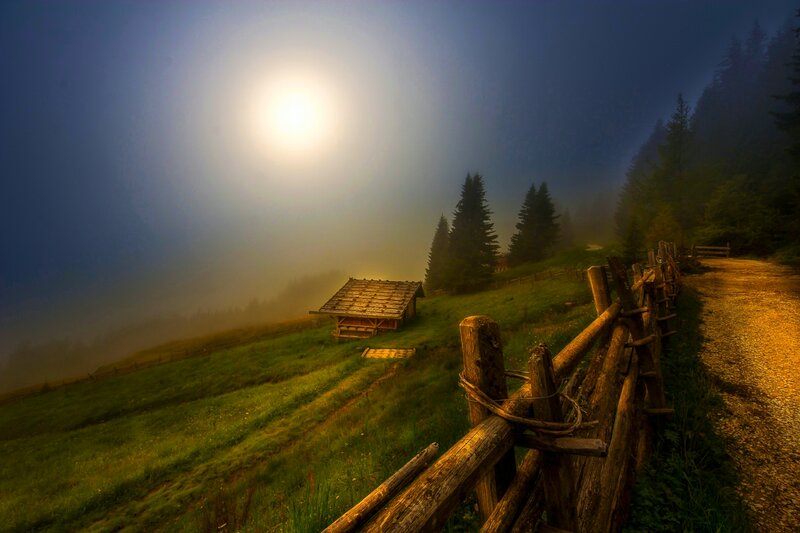 Wooden Cabin in Fog — Green