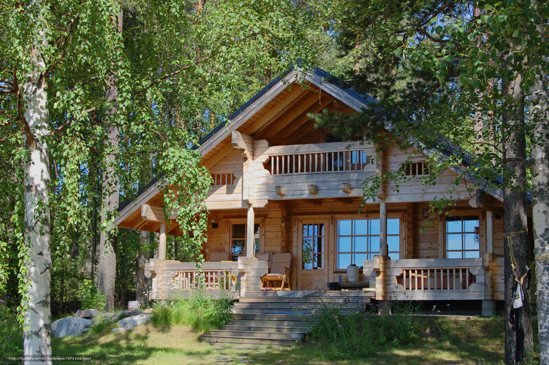 Wooden cabin in forest