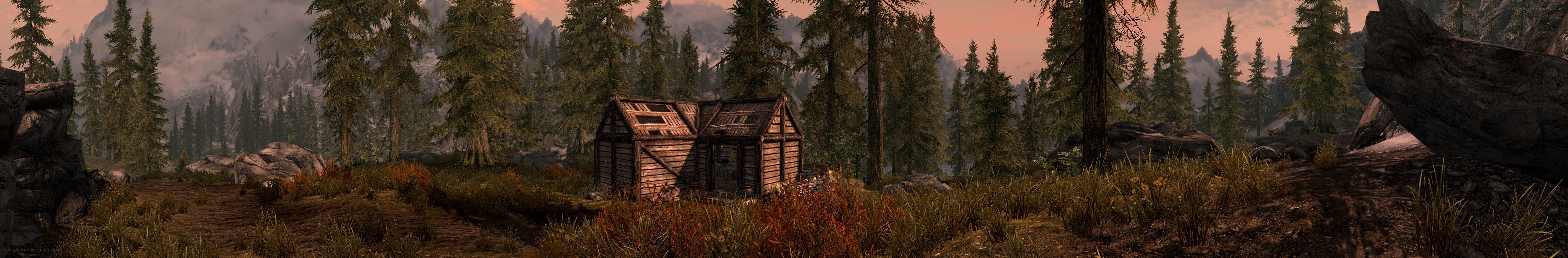 wooden cabin in forest