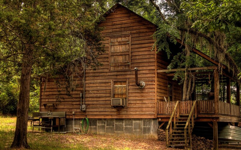 wooden cabin in forest