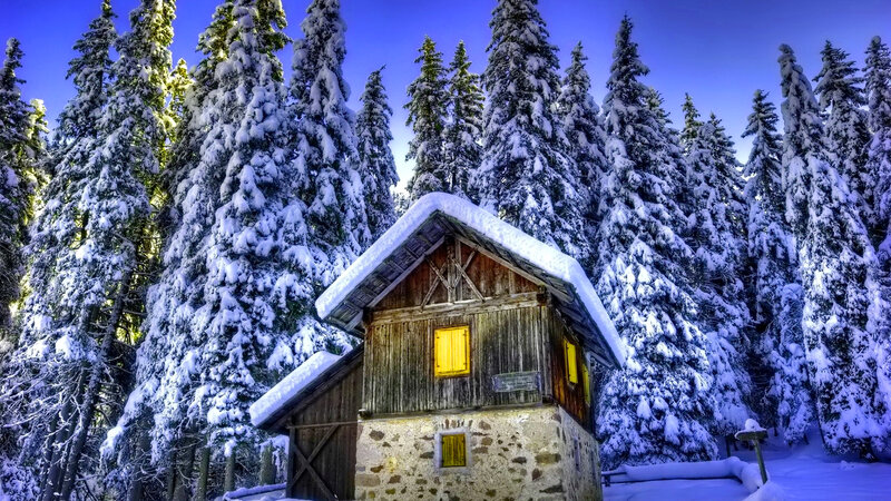 Wooden Cabin in Forest — Blue, Serene
