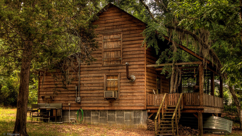 Wooden Cabin in Forest — Brown, Serene, Afternoon, Photograph