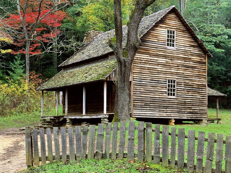 Wooden Cabin in Forest — Brown, Serene, Autumn, Photograph, Tree, Fence, Porch