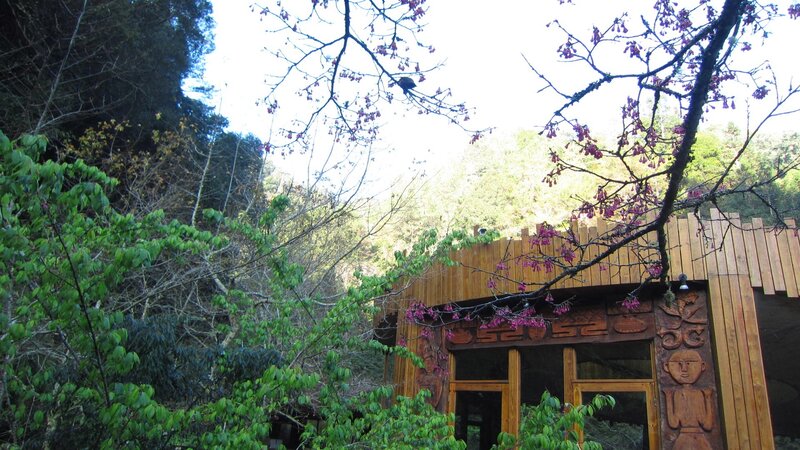 Wooden Cabin in Forest — Brown, Serene, Spring