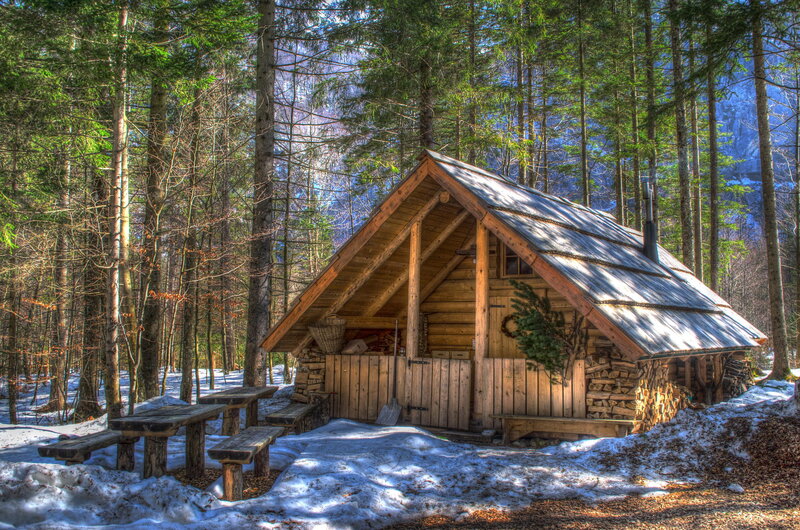 Wooden Cabin in Forest — Brown, Serene, Winter
