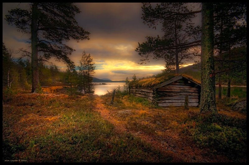 Wooden Cabin in Forest — Brown