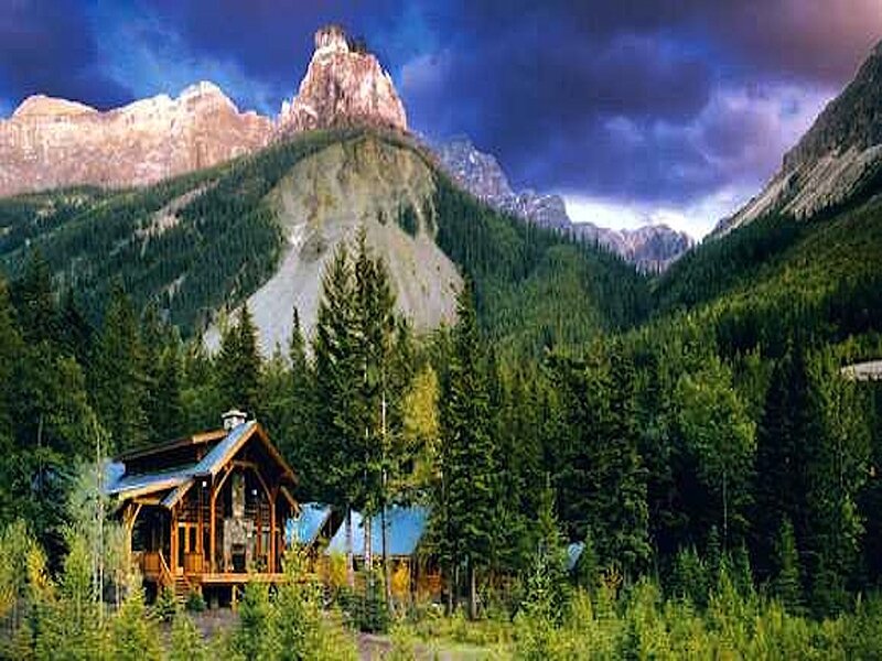 Wooden Cabin in Forest — Green, Dramatic
