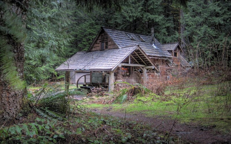 Wooden Cabin in Forest — Green, Serene, Photograph
