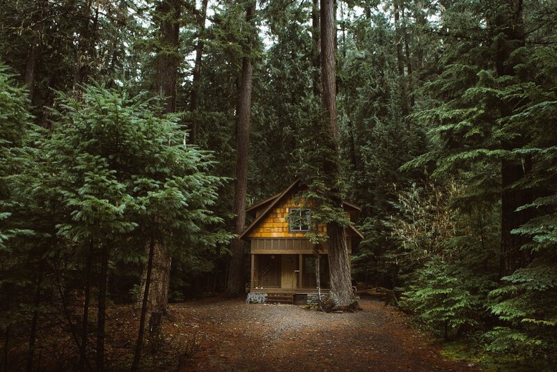 Wooden Cabin in Forest — Green, Serene, Photograph, Trees