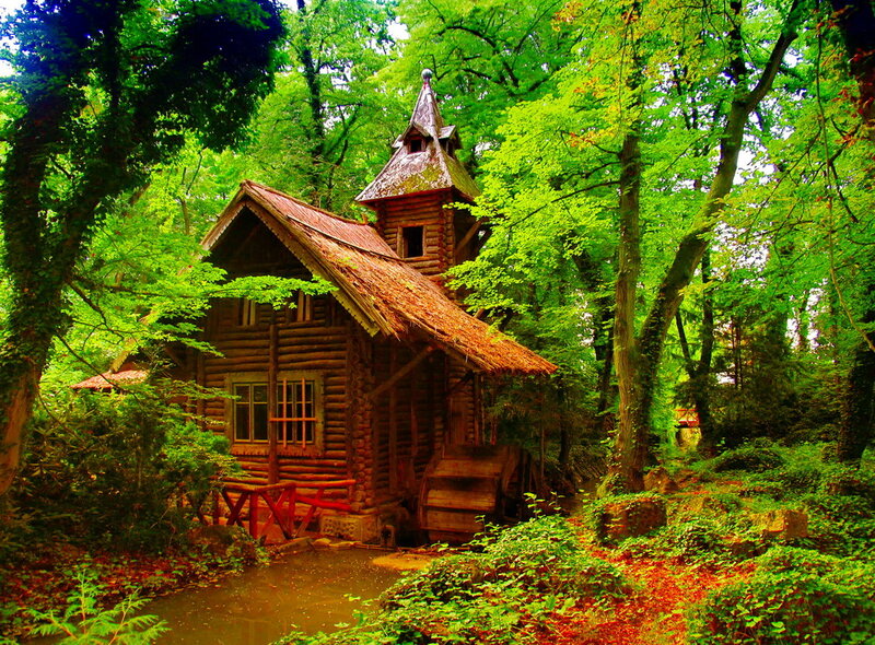Wooden Cabin in Forest — Green, Serene, Summer, Photograph, Trees
