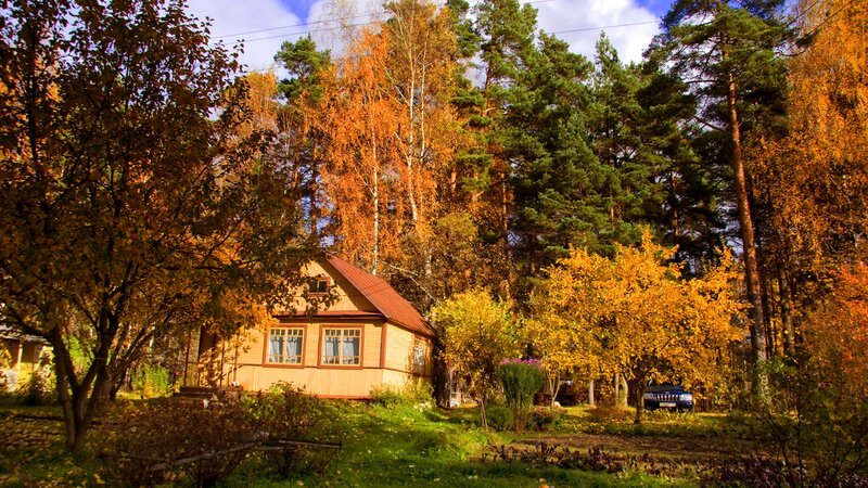 Wooden Cabin in Forest — Orange, Serene, Autumn, Photograph, Trees, Car