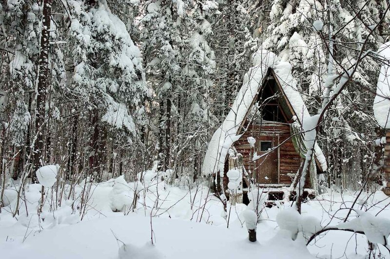Wooden Cabin in Forest — White, Serene