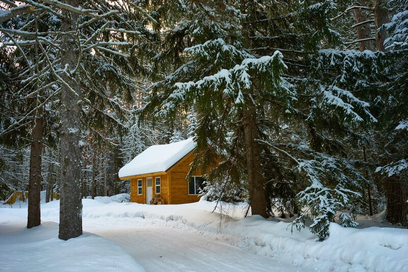 Wooden Cabin in Forest — White, Serene, Winter, Photograph, Snow
