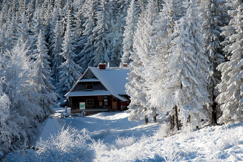 Wooden Cabin in Forest — White, Serene, Winter, Photograph