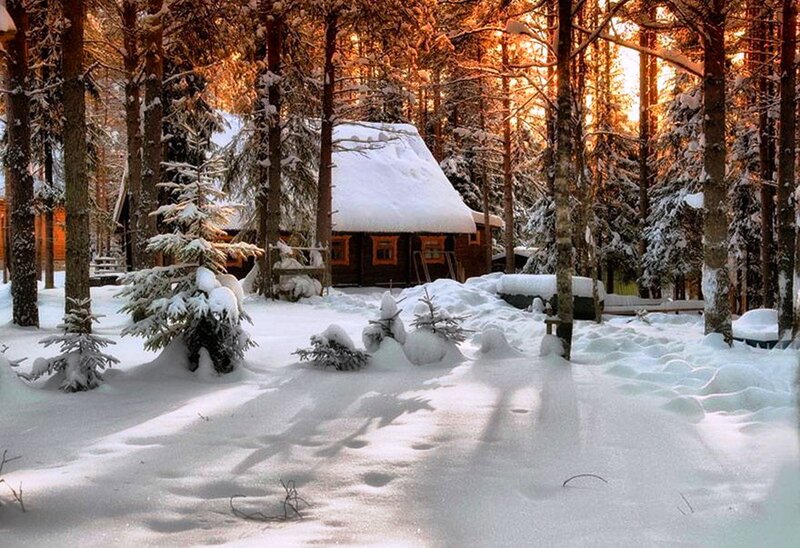 Wooden Cabin in Forest — White, Serene, Winter