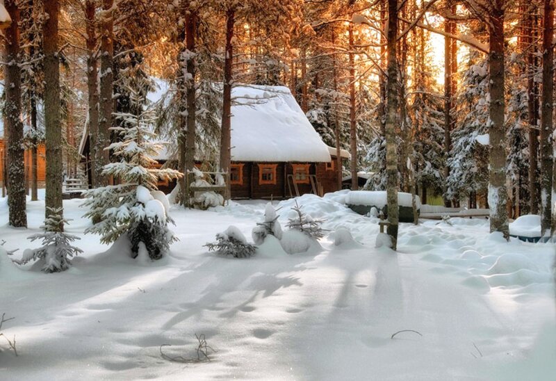 Wooden Cabin in Forest — White