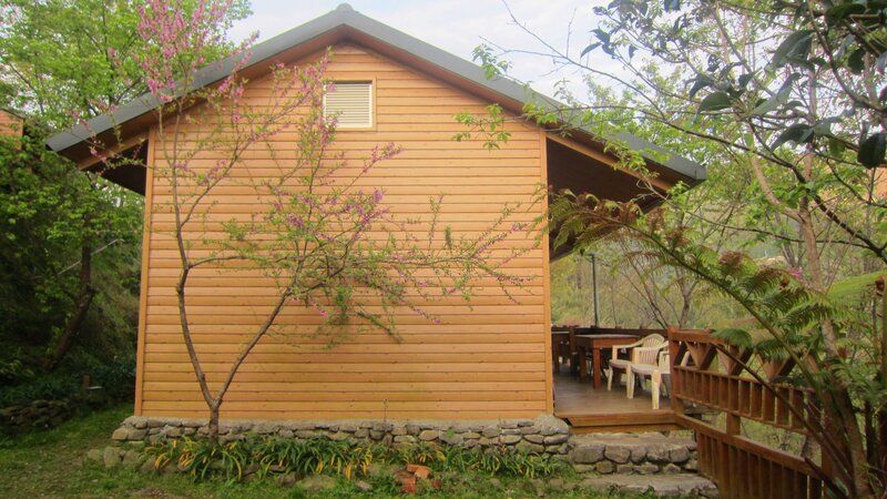 Wooden Cabin in Garden — Brown