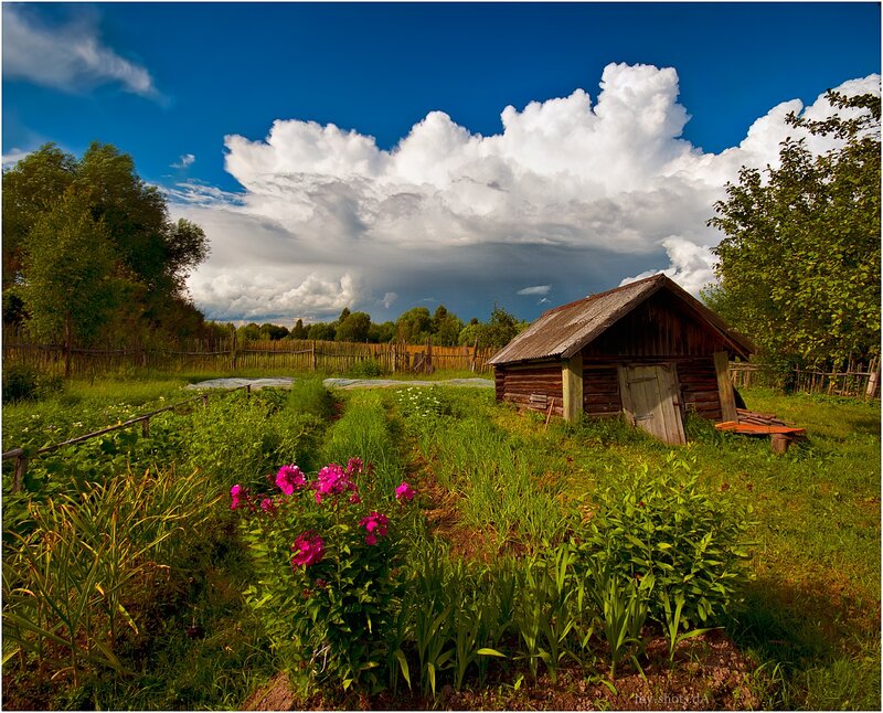 Wooden Cabin in Garden — Green, Dramatic