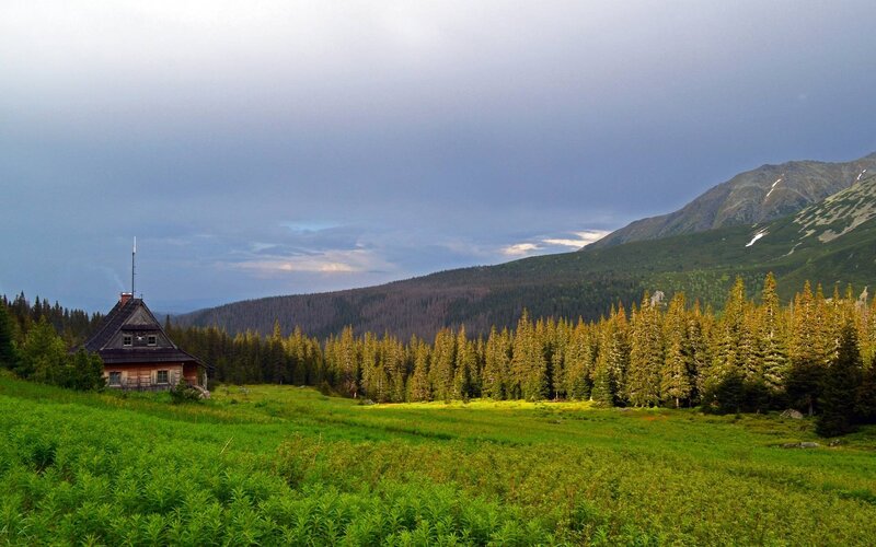 Wooden Cabin in Meadow — Green, Dramatic