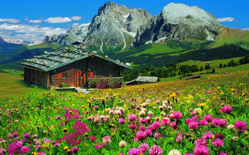 Wooden Cabin in Meadow — Green, Serene, Summer, Photograph, Mountains