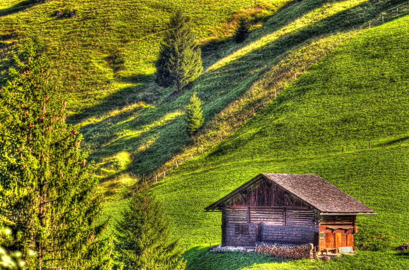 Wooden Cabin in Meadow — Green, Serene