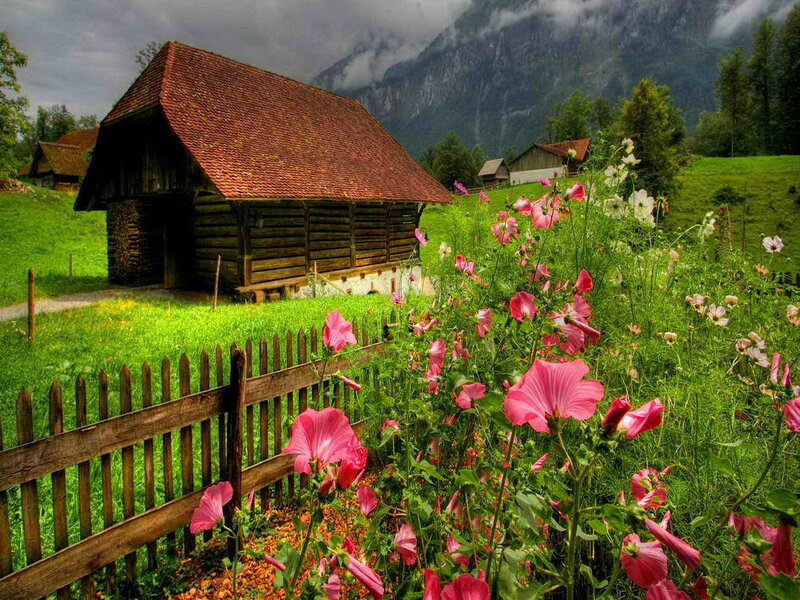 Wooden Cabin in Meadow — Green