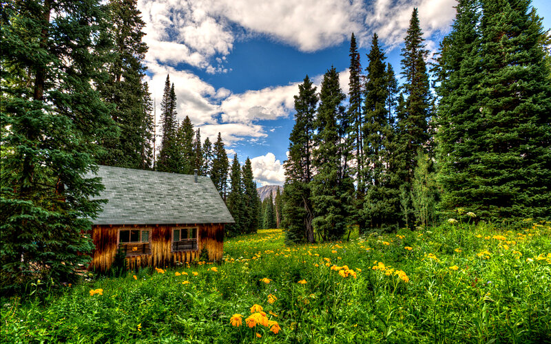 Wooden Cabin in Meadow