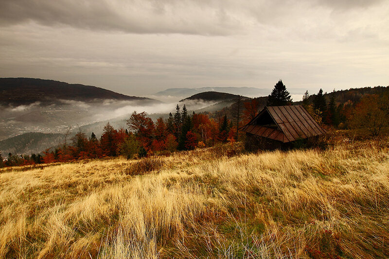 Wooden Cabin in Mountains — Brown, Serene