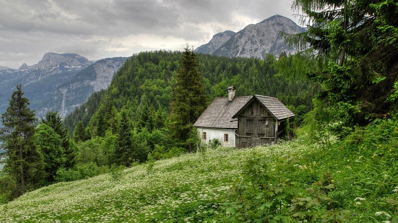 Wooden Cabin in Mountains — Green, Serene, Summer, Photograph, Forest