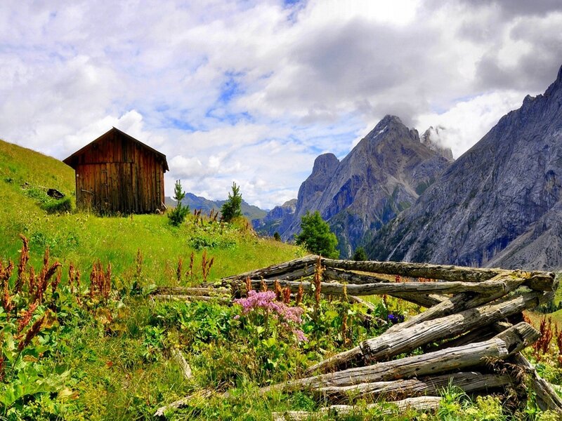Wooden Cabin in Mountains — Green