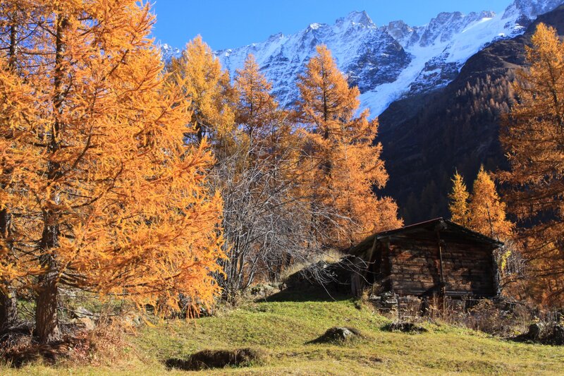 Wooden Cabin in Mountains — Orange